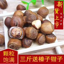 Hazelnut Wild Hazelnut Daxinganling wild hazelnut 500g Fire hazelnut Northeast wild origin straight hair