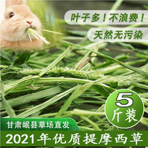 5 kg of high-quality Timothy grass Non-grass section Beiti Chinchilla guinea pig rabbit food Dutch pig forage Minxian Food House