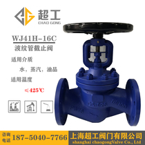 WJ41H-16C boiler high temperature steam heat conduction oil German standard cast steel bellows flange globe valve DN15-400