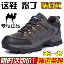 Dapingshan Camel Spring and Autumn outdoor shoes mens hiking shoes hiking shoes casual travel shoes waterproof and non-slip wear-resistant