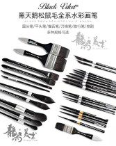 BlackVelvet Black Swan Watercolor Pen Squirrel hair round head flat head blade travel brush 3000s No 6 No 8