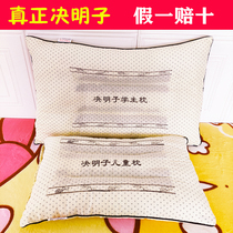 Sicklesenna pillow childrens pillow core Kindergarten special 3 + years 30 x 50 50 school 40 40 607 607 to 10 years old