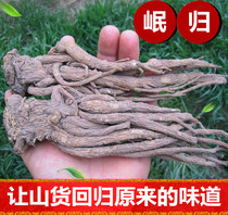 Minxian all Angelica sinensis non-wild Angelica Chinese herbal medicine 500g can cut off Angelica powder