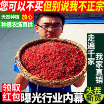 New Cargo Gou Free to wash in Ningxia Medlar Special Grade Wolfberry Zhengzong Authentic Farmhouse Chinese Holly 500g grams of red conformation