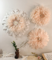 ins Wind feather wall decoration pendant Nordic creative living room B & B entrance light luxury wall decoration electric meter box