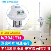 Silver Fox A30 thermal sprayer Beauty salon sprayer Face steamer Traditional Chinese medicine package Ion face special hydration instrument