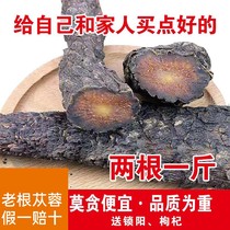 Inner Mongolia Super Alxa Oil Cistanche 500g whole root with Cynomorium soak wine material male nourishing health