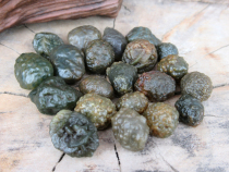 Green gangue beads currency goods Gobi agate stone 8 to 12mm 230 about 250g