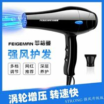 Xinjiang Feigman hair dryer household large wind power hair salon hair hair dryer hot and cold negative ion mute