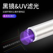 Light test pen rechargeable food Aspergillus flavus detection pen identification mini fluorescent detection flashlight pen handheld