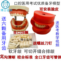 Dental preparation model test practice preparation of nest inlay Crown removable teeth row gingival delivery 6 tooth grains