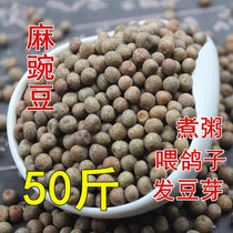 Raw peas raw peas raw gray beans hair pea sprouts hair pea sprouts hair pea seedlings 25kg50kg pea pigeon grain