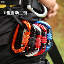 Type d automatic main lock high altitude load-bearing safety lock climbing climbing rock fast hanging pear shaped secure connection buckle bearing buckle