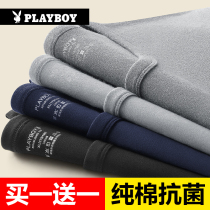 Flower Playboy Pure Cotton Autumn Clothes Mens Long Sleeves Warm Underwear Winter Upper Body Wearing Undershirt Single Blouse