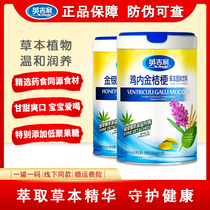 English chicken Inner Golden Platycodon grandiflorum clear fire baby children conditioning spleen stomach medicine food homologous appetite appetite appetite digestion herbal beverage
