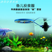  Small fish tank feeder Aquarium feeder feeding ring Small fish feeding ring feeding fish food is convenient