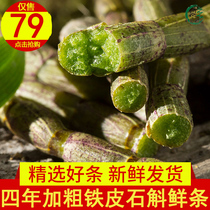 Yueqing Dendrobium candidum fresh strips authentic Yandang Mountain four-year-old see thick fresh Dendrobium candidum Maple is edible