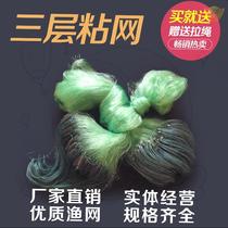 Net Fish Stick Mesh Triple Sink Net 100 m Green Silk Screen 1 5 m 2 m 3 m 4 m 4 m Nets Crucian Carp Fishing Nets