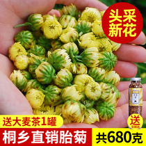  2 bags of a total of 500g Chrysanthemum tea Tongxiang fetal Chrysanthemum King authentic non-special grade Hangzhou white chrysanthemum Gong Chrysanthemum tea Bulk new flower 1 kg