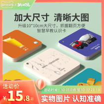 Fire rabbit animal card baby early education children see picture literacy figure baby educational toy color recognition card