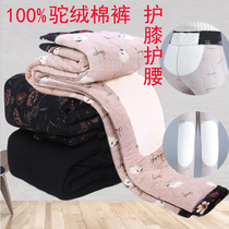 Middle-aged and elderly pants autumn and winter plus velvet thickened high waist new mother warm cotton pants women camel velvet outside grandma