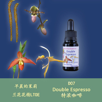 D07 espresso strong energy British original LTOE tree of life orchid flower essence 15ml liquid