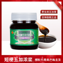 Northeast Yichun wild short terrier Wujia puree Acanthopanax cream thick paste helps sleep relieve insomnia and soothe sleep 200g