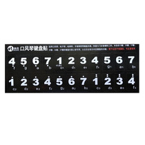 Harmonica Keyboard Sticker Profile Sticker applicable 37 36 36 32 32 27 27 Key 25 Key Applicable Swan Chimei Suzuki