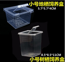 Climbing pet feeding box Spider scorpion centipede feeding box tortoise lizard horned frog feeding box pet snake feeding box