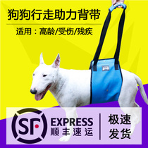 Shun Feng speed hair dog leg assistance with elderly dog rear leg injury protection dog walkway with car upper floor for use