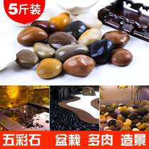 5 Jin pebbles wooden barrel fish stone paving stone garden garden stone fish tank Rain Flower Stone goose warm stone paving floor