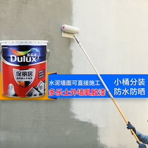 Dorothy exterior wall latex paint outdoor wall waterproof sunscreen paint brick wall blank self-brushing outdoor paint paint