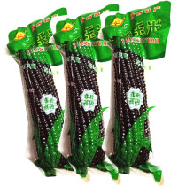  Qingyu black glutinous corn ears Black corn cob 220g*18 pieces of glutinous corn vacuum Shanxi specialty sticky glutinous bracts
