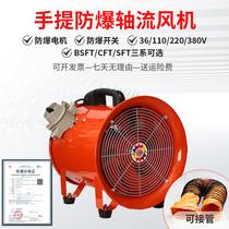 Portable mobile explosion-proof industrial fan tunnel mine marine spray paint ventilation pipe dust removal axial blower