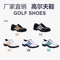 Chuangsheng golf supplies Factory Direct Sale high quality golf shoes golf shoes CS-88