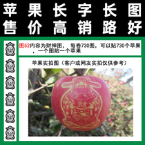 Art Chenshi Fruit Map 52 God of Wealth Tape Product Red Fuji Paper Bag