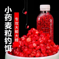 Wheat grain fish bait grain grain crucian carp carp wild fishing blood wheat grass fish wheat tender corn corn nounting bait