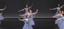 Ballet group dance dress childrens adult ballet competition performance suit soft gauze dress