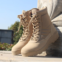 Spring and autumn and summer combat boots outdoor mens flying boots High-top combat boots Special forces desert boots Tactical boots Marine