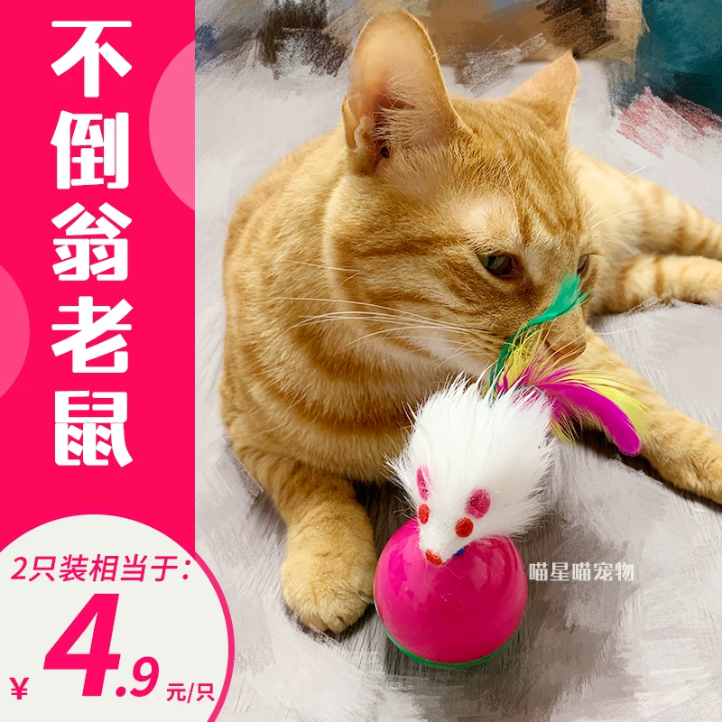  Roly-poly doll, realistic plush automatic toy, cat