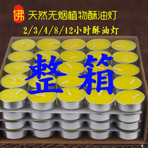 Butter lamp 8 hours 12 hours Buddha supply lamp candle home smokeless 4 hours 100 grain for Buddha butter lamp