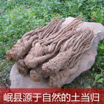 Minxian Angelica 500g g farm self-produced soil Angelica sulfur-free Mingui non-wild angelica tablets Angelica powder