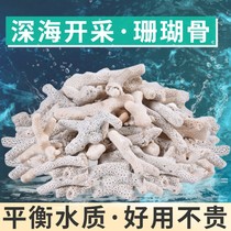 Coral bone filter fish tank landscape bottom sand fish pond filter material coral stone Aquarium Seafood pond built-in purification