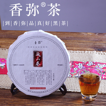 12 years Chen expected to be aged two-tea Hunan Anhua Black Tea Five Long Mountain Hills Barren Hills of Two Tea Cakes Fragrant black Tea Gold Flower Tea