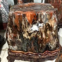 Xinjiang Desert Large Silicified Wood Fossil Tree Tree Jade Natural Original Stone Xuanguan Town House Fengshui Hall Kistle Stone ornaments