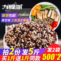 Buy 1 Get 1 Free 1 Total 1000g quinoa three-color mixed quinoa rice red and white black Qinghai Li Mai rice grains coarse grains