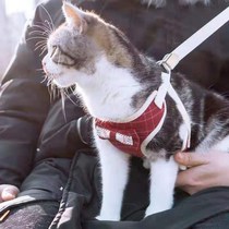 Cat leash rope kitten cat rope anti-break cat chain cat rope cat rope traction cat belt National