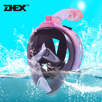 DEX snorkeling mask diving equipment underwater full dry respirator set adult diving myopia full face mirror