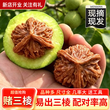 精品收藏级文玩核桃-精品收藏级文玩核桃促销价格、精品收藏级文玩核桃