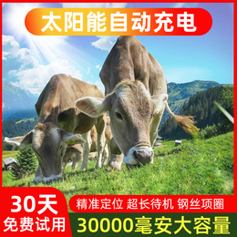 Goat Locator Mountain Special Gps Satellite Tracking God-Positioned Horse Animal Waterproof Anti-Throwing Follow